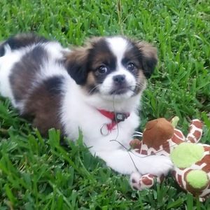 Meet your Posher, Adrienne